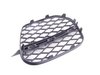 Genuine BMW Genuine BMW Front Bumper Grille - E70 X5 xDrive50i 51117222857 View 1