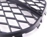Genuine BMW Genuine BMW Front Bumper Grille - E70 X5 xDrive50i 51117222857 View 2