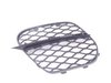 Genuine BMW Genuine BMW Front Bumper Grille - E70 X5 xDrive50i 51117222857 View 3