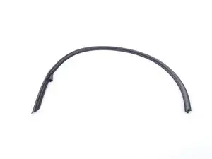 Genuine BMW Window Gasket - Left - E92