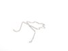 Genuine MINI Genuine MINI Spring - 41117044685 41117044685 View 2
