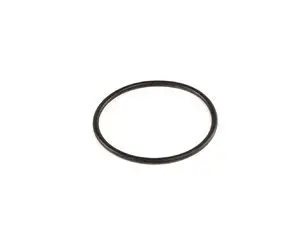 Thermostat O-Ring