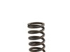 Genuine BMW Genuine BMW Compression Spring L=66mm - 21522227764 - E36 M3 21522227764 View 2