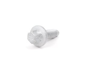 Genuine BMW Torx Screw - 07119907125
