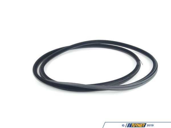 Genuine BMW Genuine BMW Rear Door Seal - Left & Right - E53 X5 51727025580