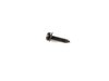 Genuine BMW Genuine BMW Sheet Metal Screw - 07119904175 - E46,E63,E83,E85 07119904175 View 1
