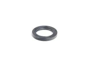Shaft Seal 11111485171