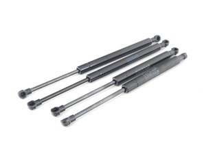 BMW E46 M3 Stabilus Hood And Trunk Strut Kit