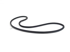 Genuine BMW Door seal - front - F10