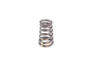 Genuine BMW Valve Spring - 11341403709 - E36,E39,E36 M3,E39 M5
