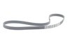 Genuine BMW Genuine BMW Accessory Belt - E53 X5, E38 740i/iL, E39 540i M62 4.4L 11287636377 View 1
