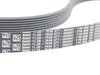 Genuine BMW Genuine BMW Accessory Belt - E53 X5, E38 740i/iL, E39 540i M62 4.4L 11287636377 View 2