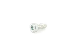 Genuine BMW Torx Screw - 32341097110