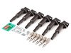 Packaged by Turner OEM Ignition Service Kit - BMW M54 2.5L 3.0L 12131712219OEMKT View 1