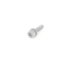Genuine BMW Internal Torx Screw With Was - 07129905558
