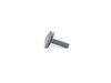 Genuine MINI TORX-BOLT WITH WASHER 07147144993 View 2