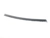 Genuine BMW Genuine BMW Decorative Strip, Door Front - 51419171787 51419171787 View 1