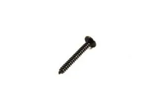 Genuine MINI Fillister Head Self-tapp.scr 07147136516