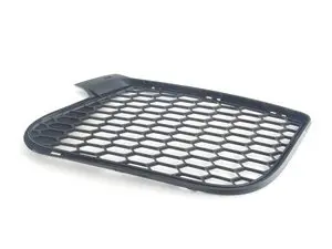 Genuine BMW Open Air Grille - right - E70 X5 M E71 X6 M