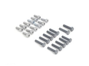 Genuine BMW VANOS Hub Hardware Kit - S54