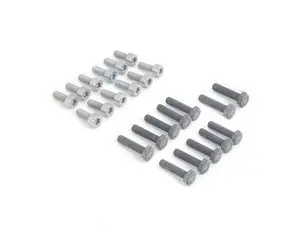 Genuine BMW VANOS Hub Hardware Kit - S54