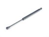 Genuine BMW Genuine BMW Trunk Strut - E46 323Ci 325Ci 330Ci M3 51248227895 View 1
