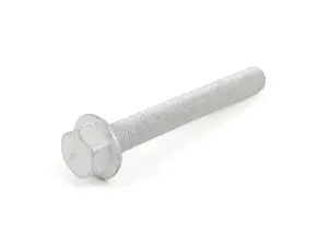 Genuine BMW Collar Screw