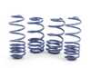 H&R 29061-1 OE Sport Springs Set 29061-1 View 1