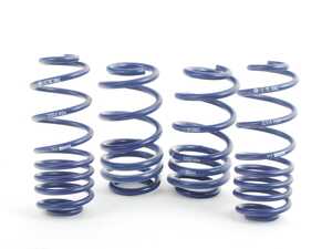 29061-1 OE Sport Springs Set