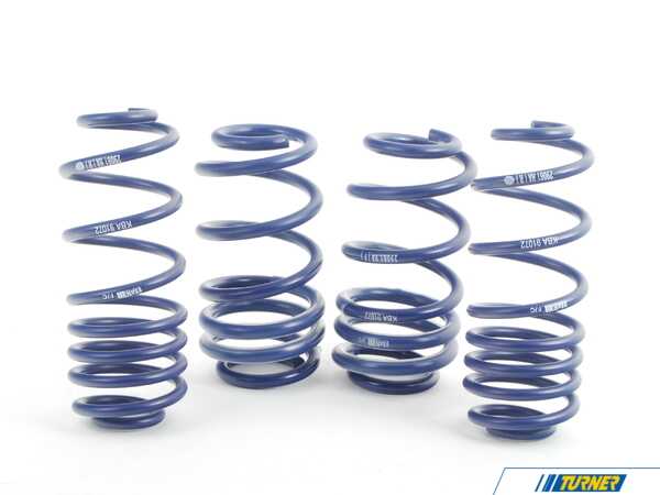 H&R 29061-1 OE Sport Springs Set 29061-1