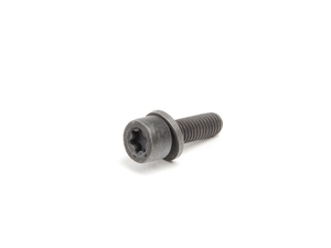 Genuine BMW Screw Torx Drive - 07129904366
