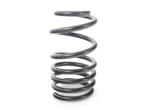 Genuine MINI Rear Coil Spring Jcw Gp2 - 33536858046