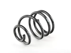 Genuine MINI Front Coil Springs
