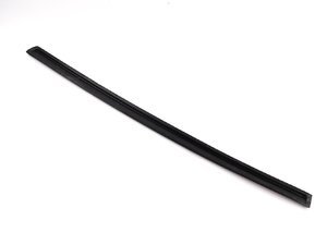 Genuine BMW Window Seal - right