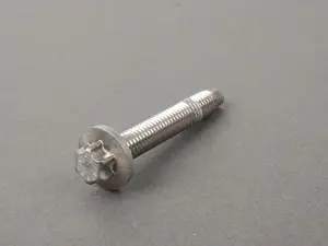 Genuine BMW Torx Screw - 11137582340
