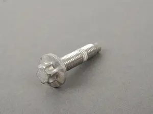 Genuine BMW Torx Screw - 11137559537