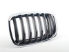 Genuine BMW Front Grill - Left - E70, E71 51137305589 View 2