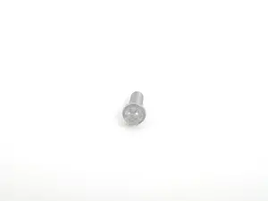 Genuine BMW Torx Screw - 07119907463