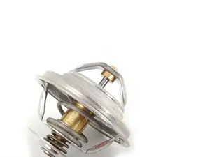 Mahle-Behr Thermostat - 80Â°C - E30