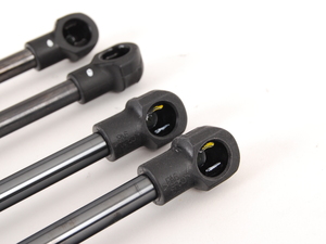 Hood And Trunk Strut Kit