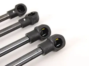 Hood And Trunk Strut Kit