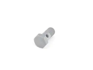 Genuine BMW Hollow Bolt - 11361407716 - E39 M5