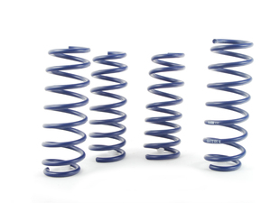H&R OE Sport Spring Set - F10 528i, 535i, 535d