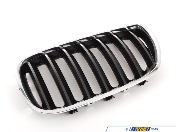 Genuine BMW Genuine BMW Kidney Grille - Left - E53 M54 3.0L 51137113733