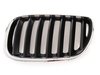 Genuine BMW Genuine BMW Kidney Grille - Left - E53 M54 3.0L 51137113733 View 4