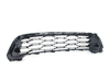 Genuine MINI Genuine MINI Grill Front Cooper S - 51139808933 - (NO LONGER AVAILABLE) 51139808933 View 3