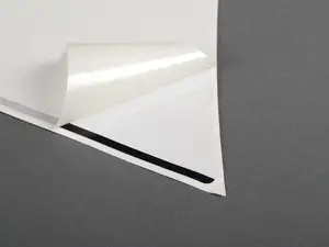Genuine MINI Bonnet / Hood Stripe White With Black Pinstripe - Left - F56 F55 F56