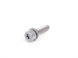 INTERNAL TORX SCREW WITH WAS