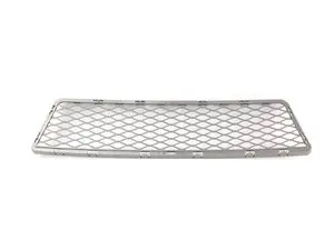 Genuine BMW Bumper Grill - Center - E92 E93 335i 335xi
