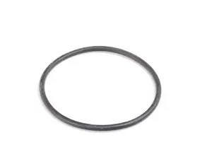 Rein Thermostat Gasket - E31, E32, E34, E38, E39, E53